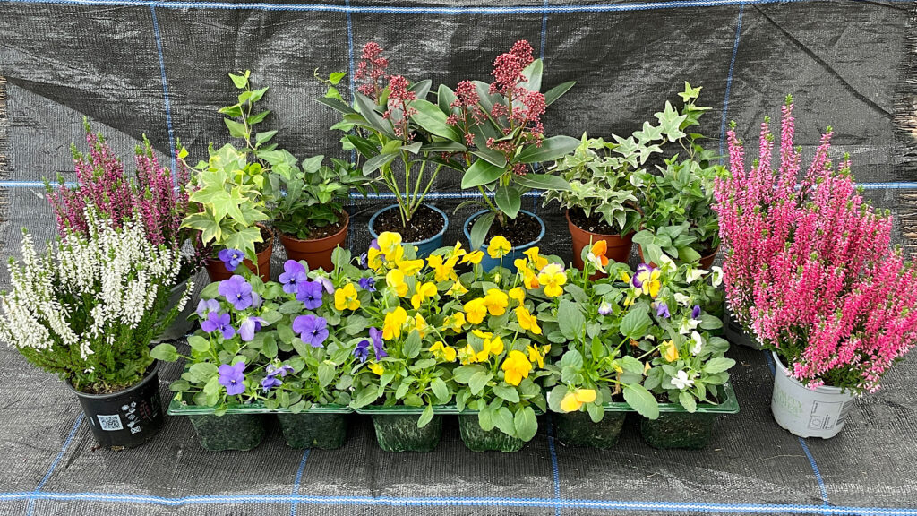 Everglades Nurseries