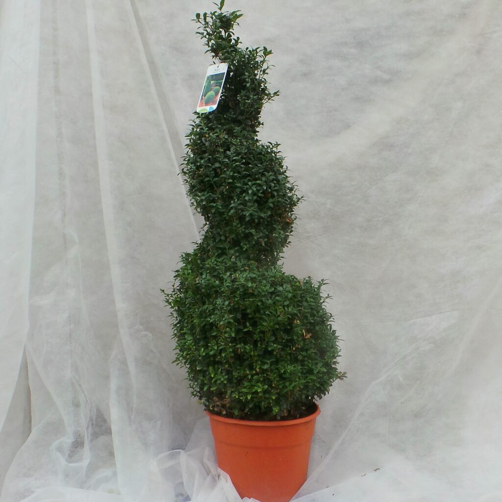 Everglades Nurseries
